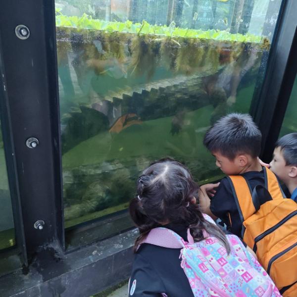0710第一次用英文認識動物園
