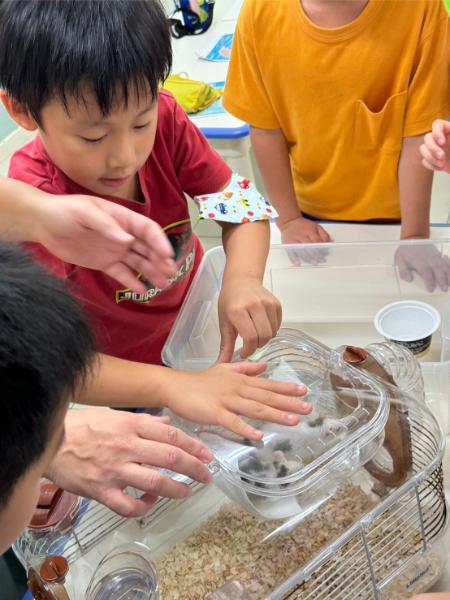 LINE ALBUM 0709 Earth Science 240716 10