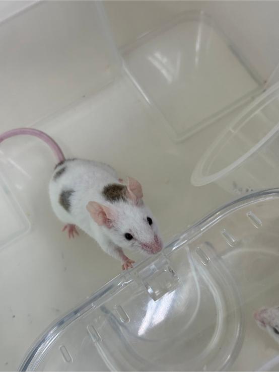 LINE ALBUM 0709 Earth Science 240716 3