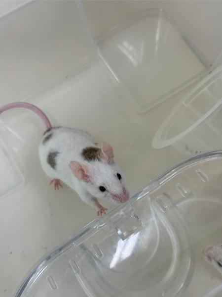 LINE ALBUM 0709 Earth Science 240716 3