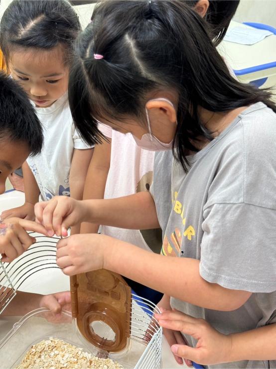 LINE ALBUM 0709 Earth Science 240716 5