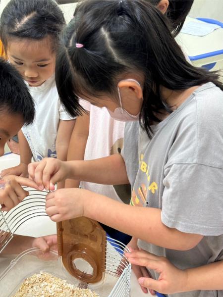 LINE ALBUM 0709 Earth Science 240716 5