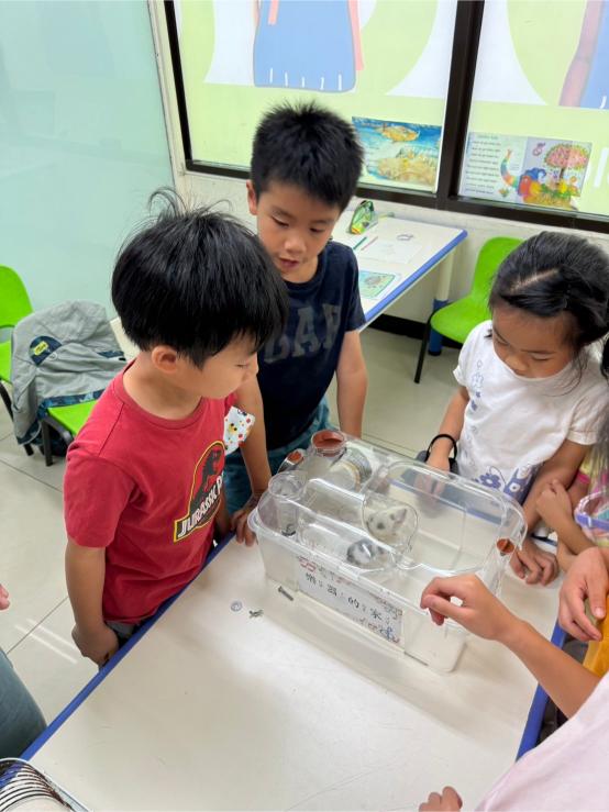 LINE ALBUM 0709 Venus Cook 240716 10