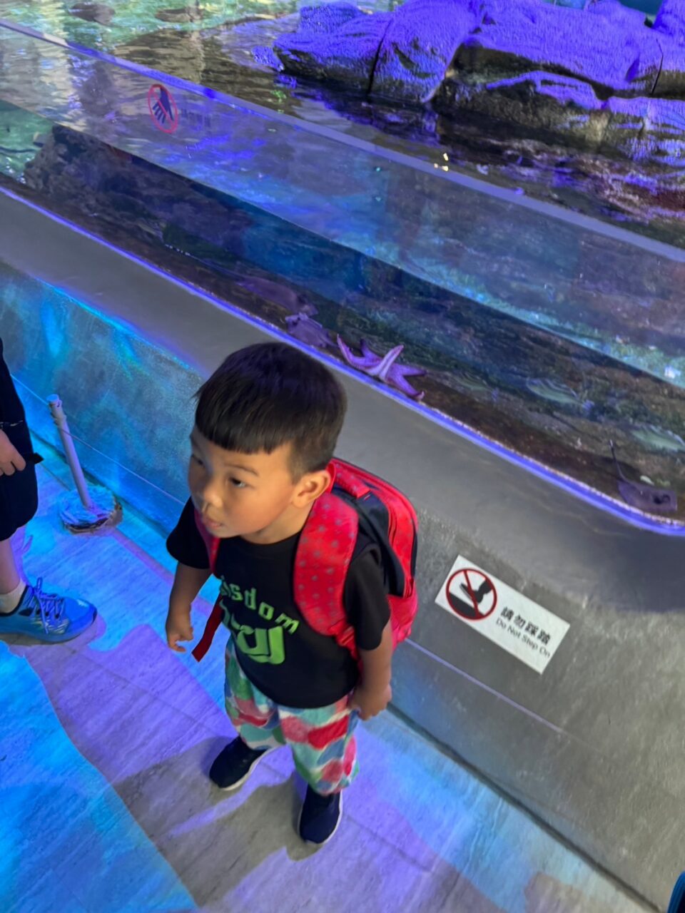 LINE ALBUM 0717基隆小旅行 240718 8