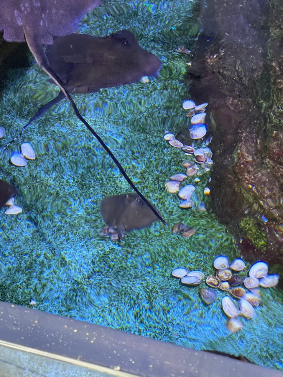 LINE ALBUM 0717基隆小旅行 240718 18