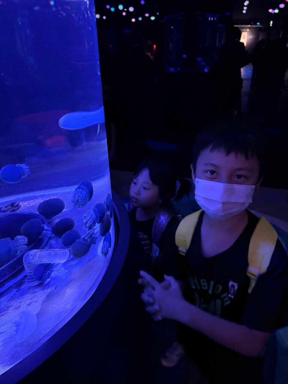 LINE ALBUM 0717基隆小旅行 240718 37