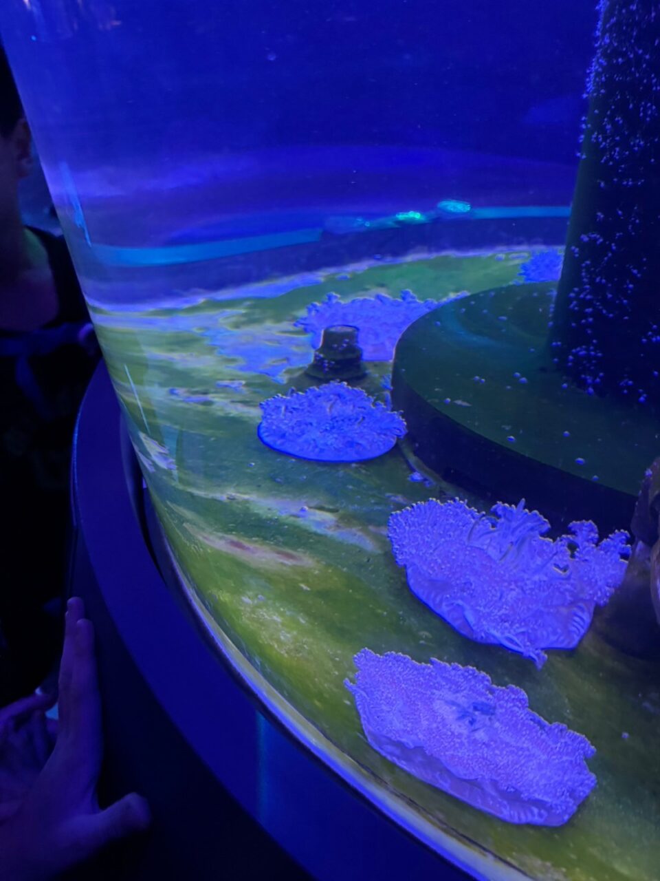 LINE ALBUM 0717基隆小旅行 240718 40