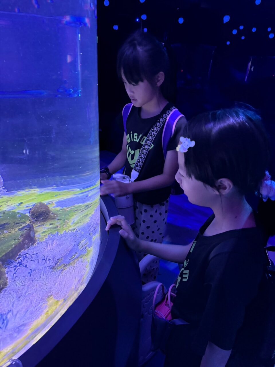 LINE ALBUM 0717基隆小旅行 240718 42