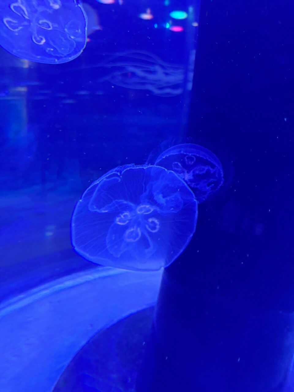 LINE ALBUM 0717基隆小旅行 240718 44