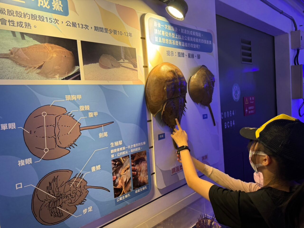 LINE ALBUM 0717基隆小旅行 240718 80