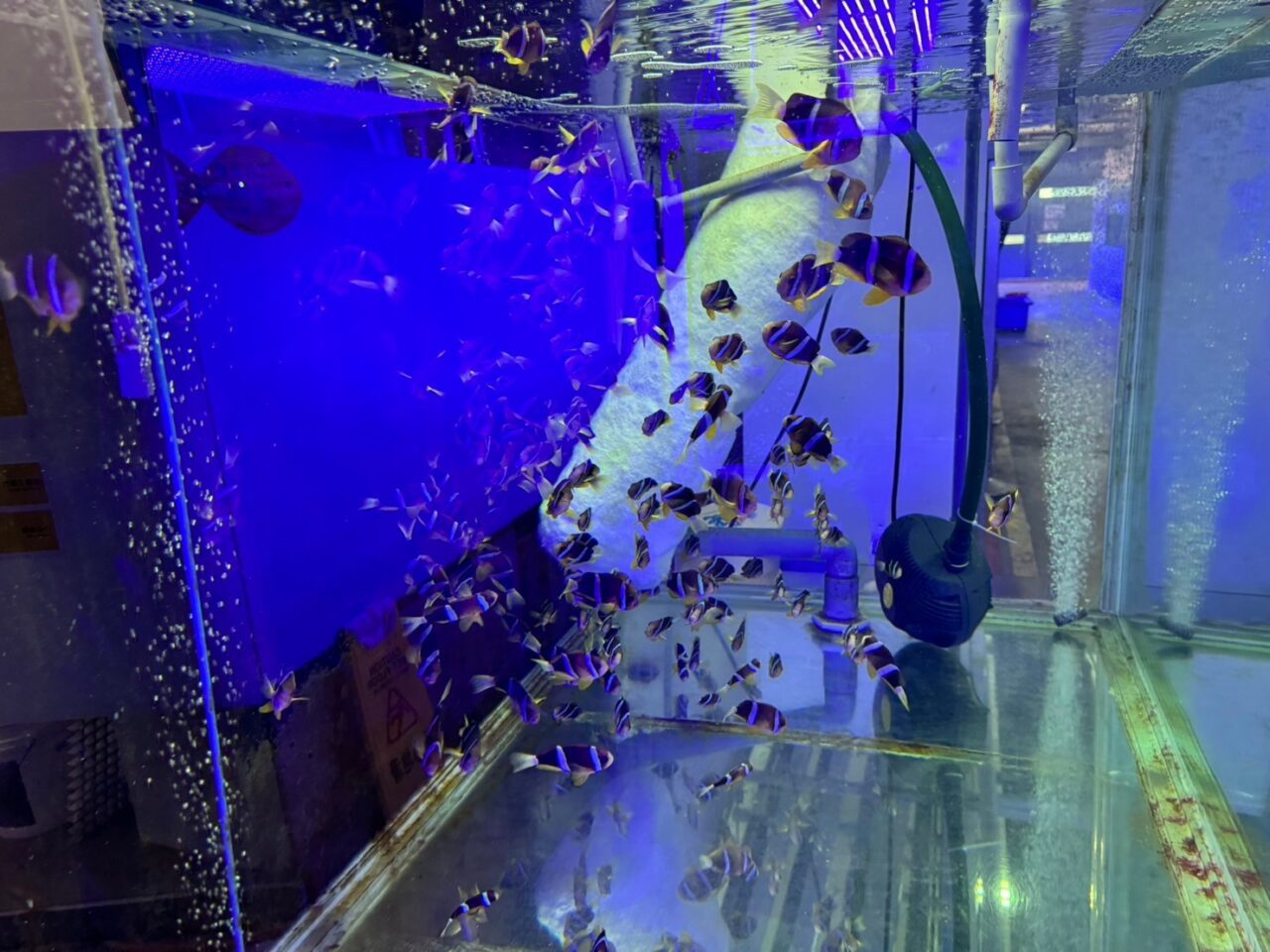 LINE ALBUM 0717基隆小旅行 240718 84