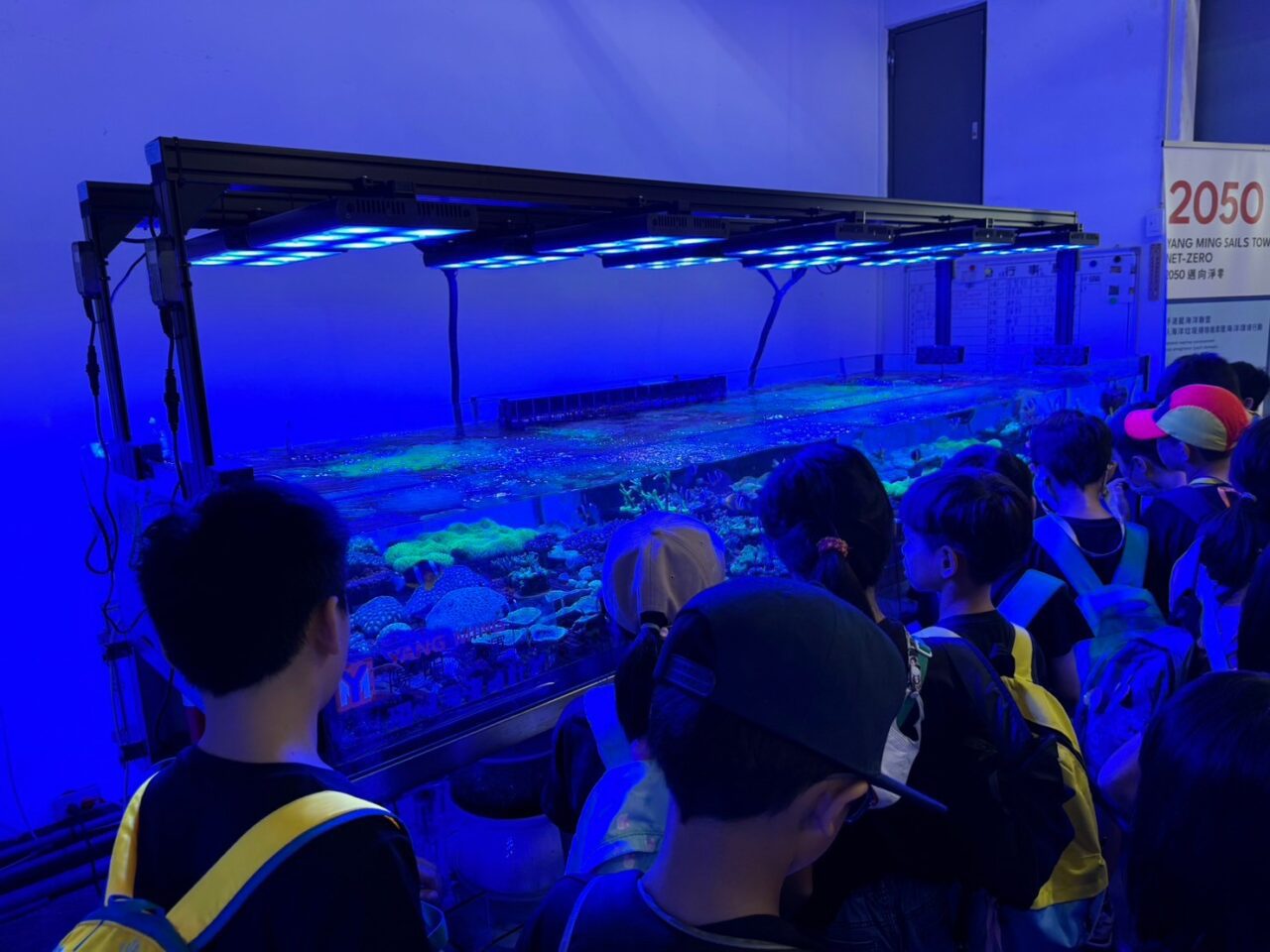 LINE ALBUM 0717基隆小旅行 240718 86