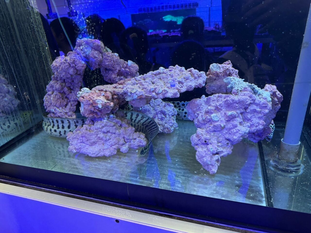 LINE ALBUM 0717基隆小旅行 240718 87