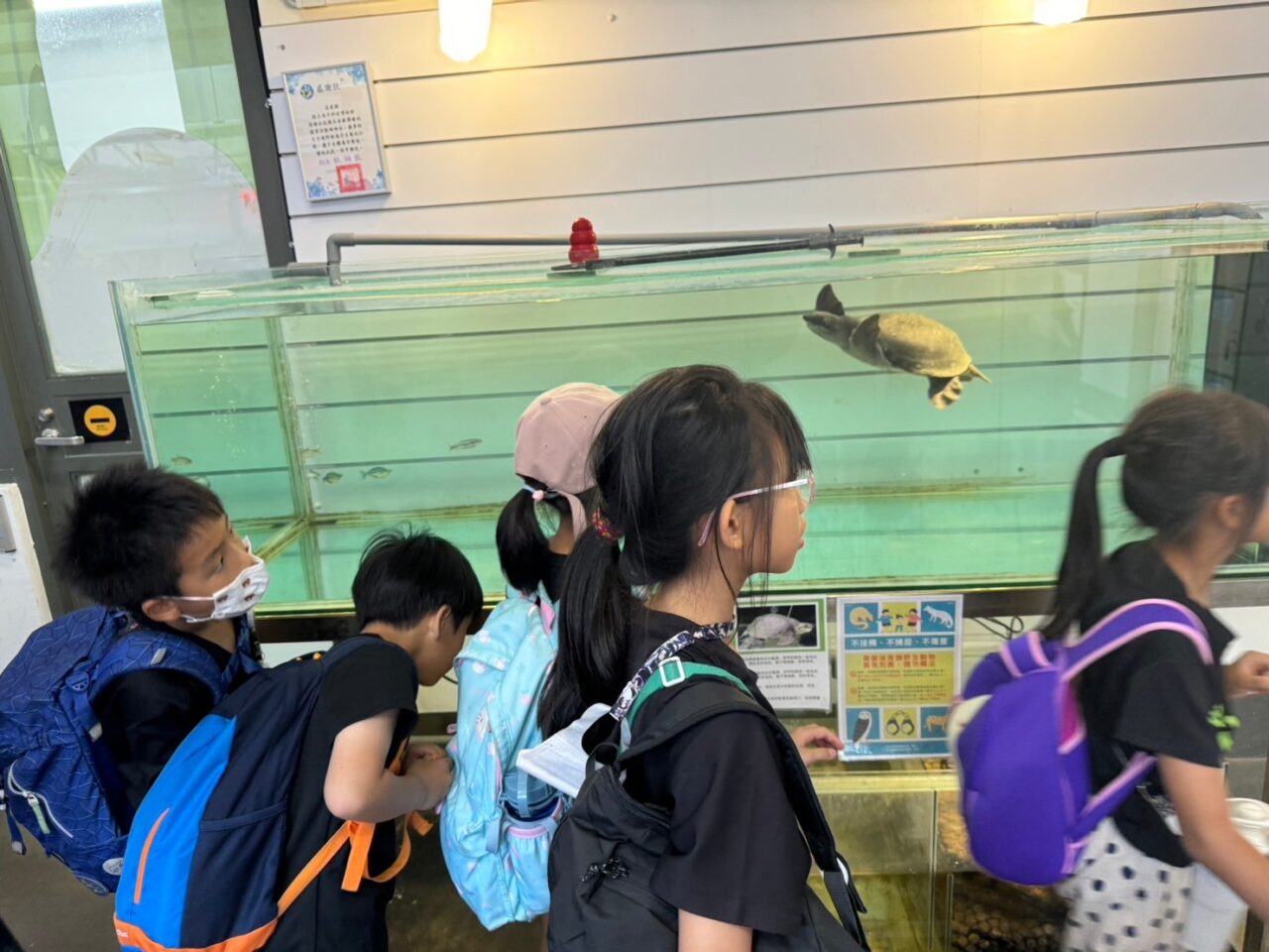 LINE ALBUM 0717基隆小旅行 240718 89