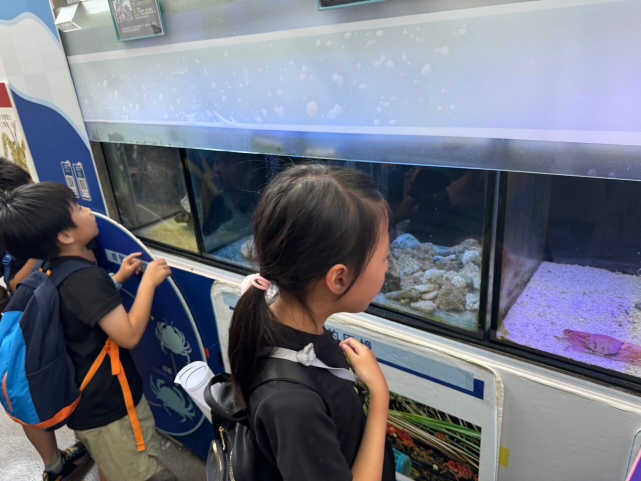 LINE ALBUM 0717基隆小旅行 240718 92