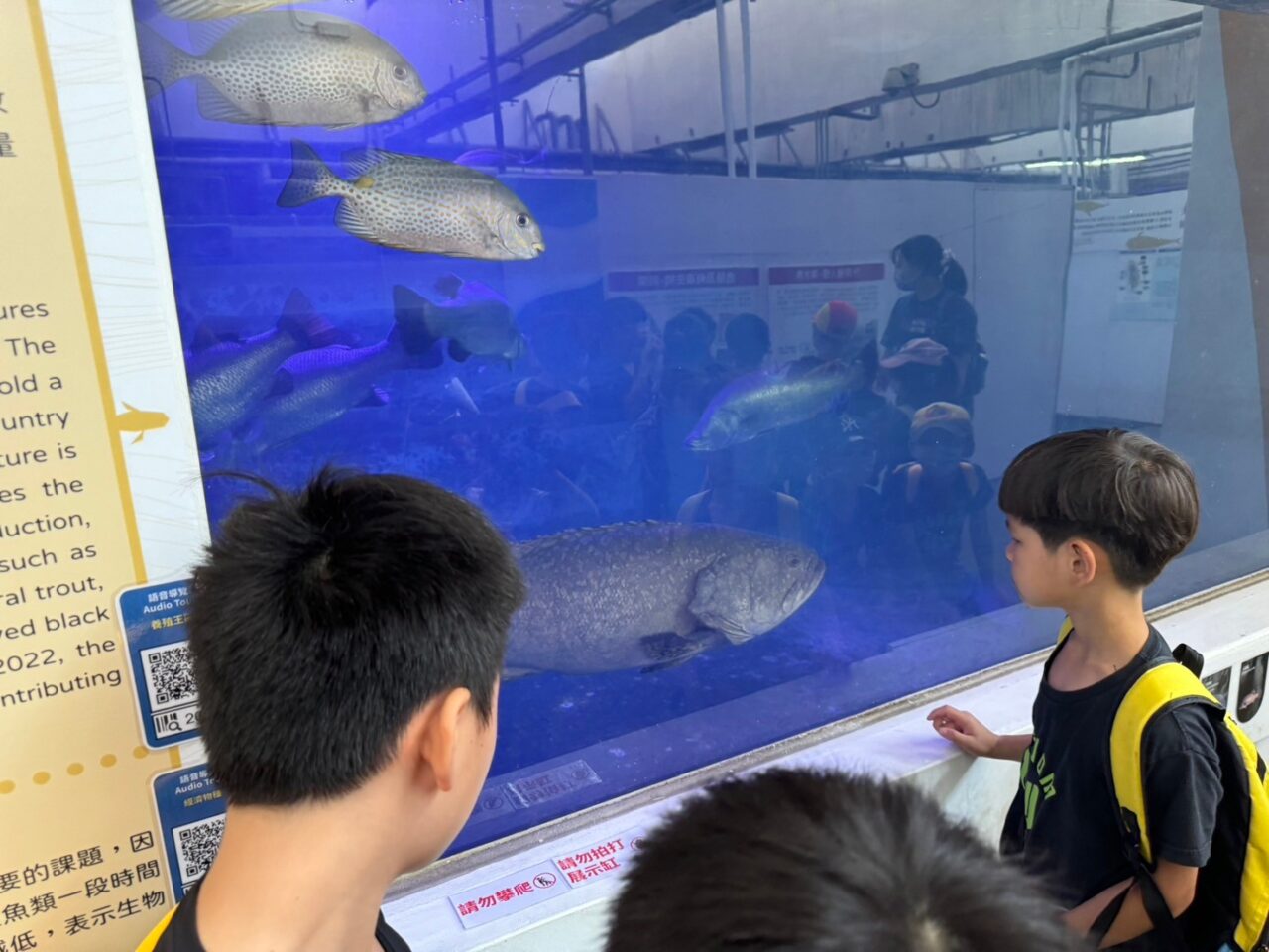 LINE ALBUM 0717基隆小旅行 240718 93