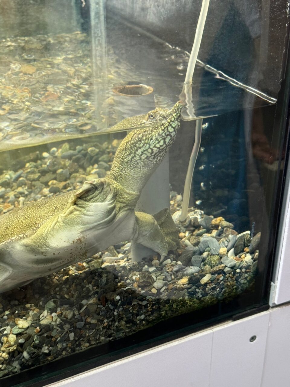 LINE ALBUM 0717基隆小旅行 240718 95