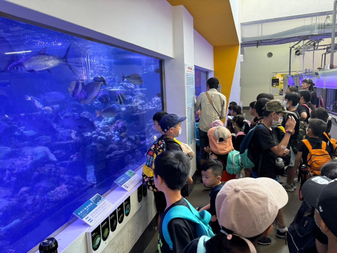 LINE ALBUM 0717基隆小旅行 240718 96