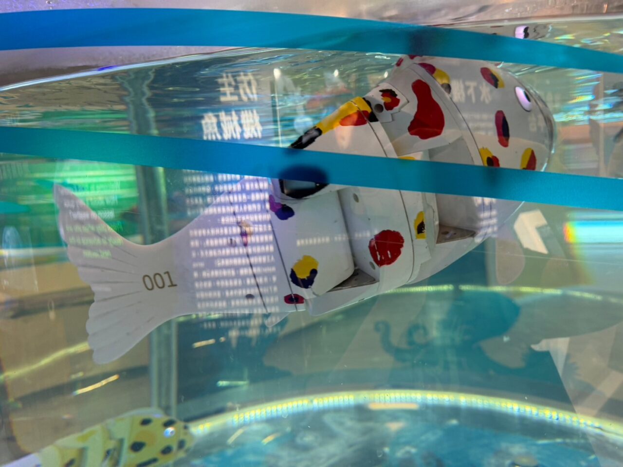 LINE ALBUM 0717基隆小旅行 240718 105