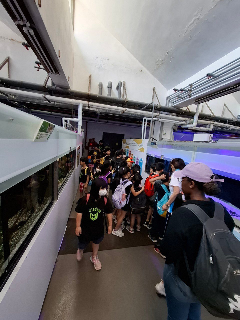 LINE ALBUM 0717基隆小旅行 240718 174