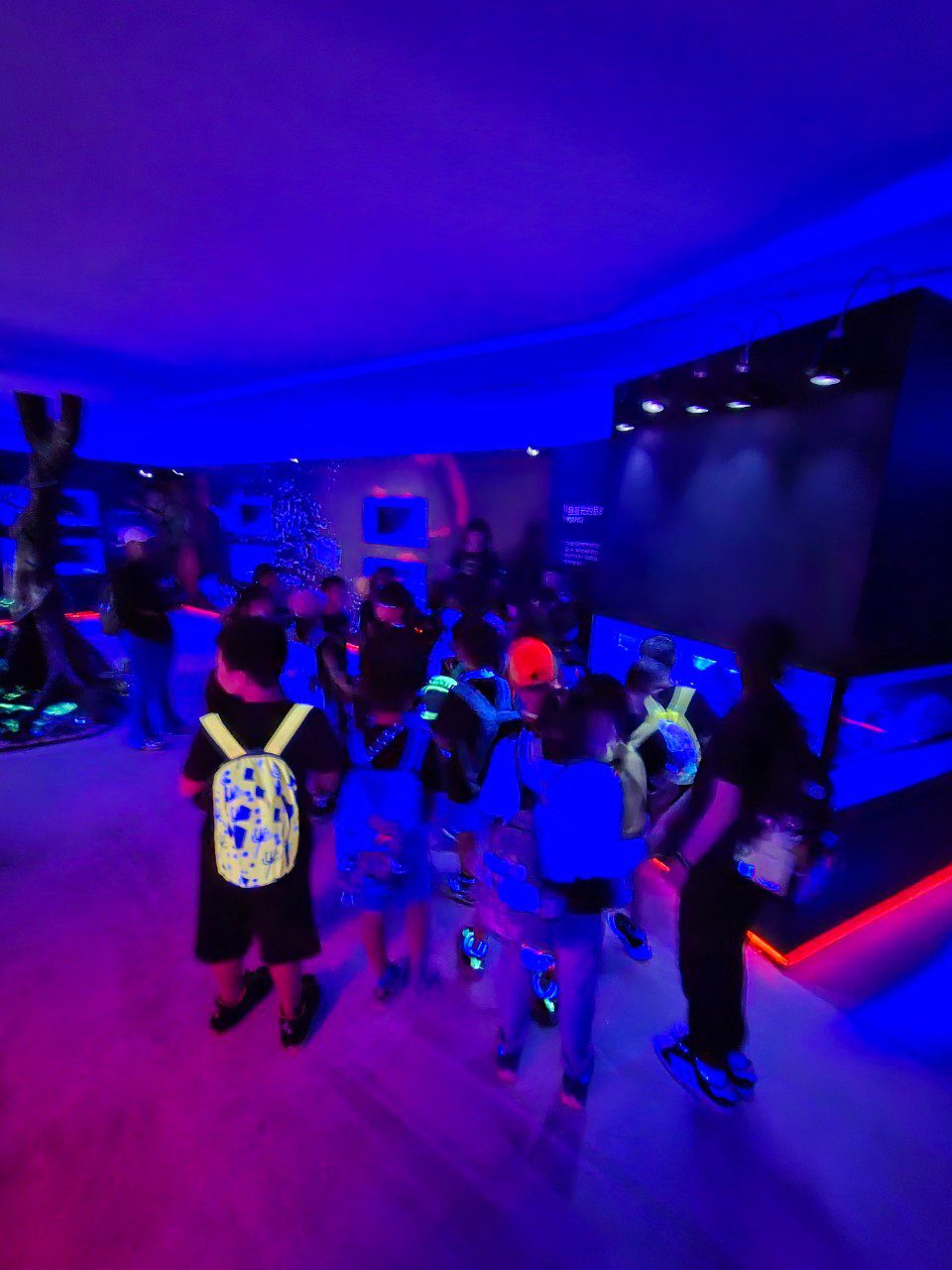 LINE ALBUM 0717基隆小旅行 240718 181