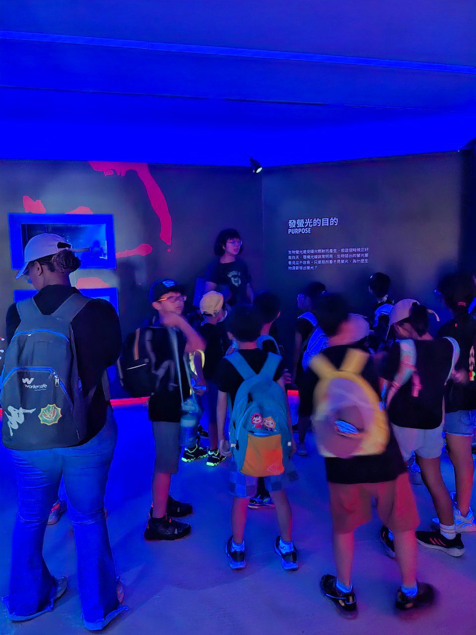 LINE ALBUM 0717基隆小旅行 240718 182