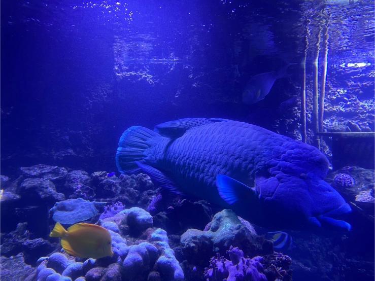 LINE ALBUM 20240717 基隆海科館 240719 29