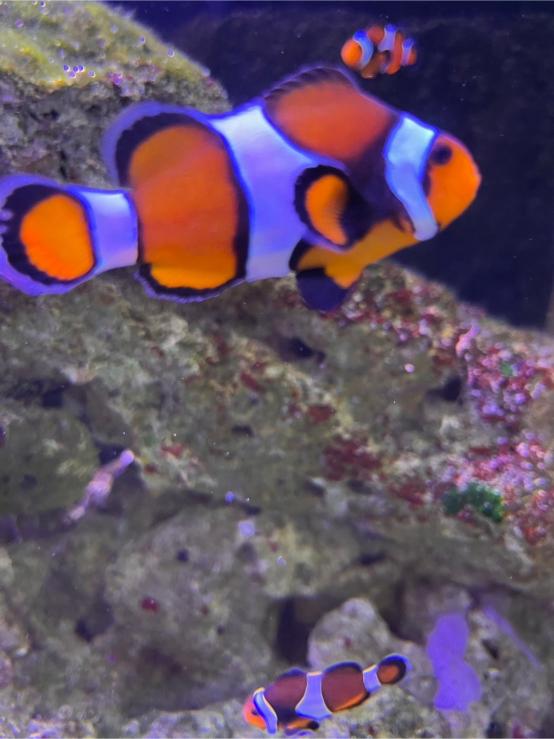 LINE ALBUM 20240717 基隆海科館 240719 30