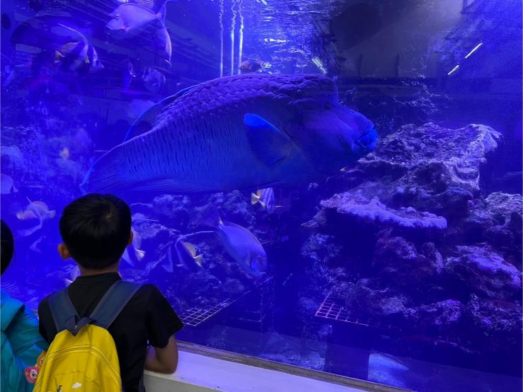 LINE ALBUM 20240717 基隆海科館 240719 31