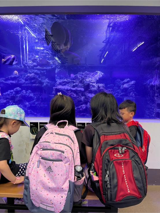 LINE ALBUM 20240717 基隆海科館 240719 34