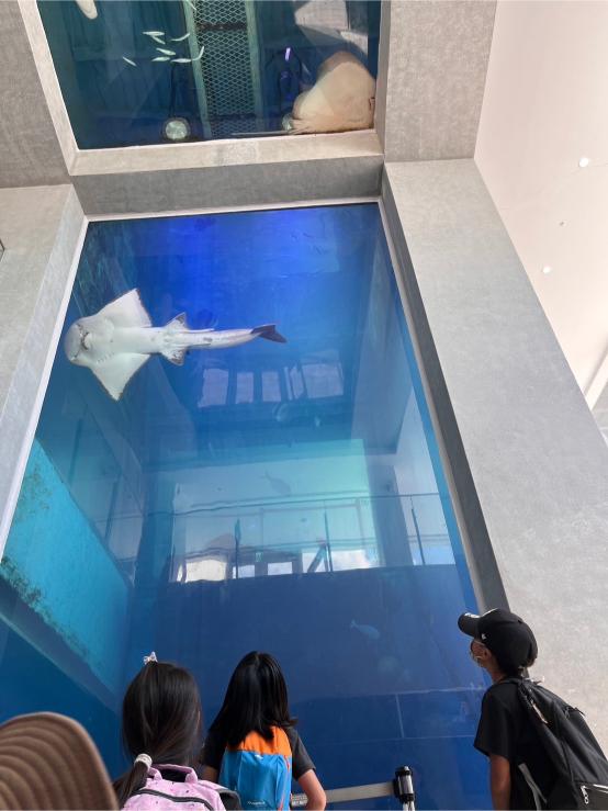 LINE ALBUM 20240717 基隆海科館 240719 47