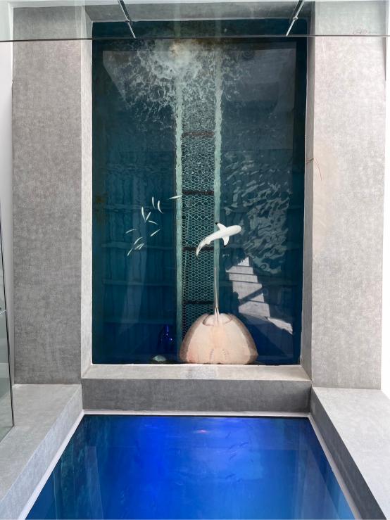 LINE ALBUM 20240717 基隆海科館 240719 48