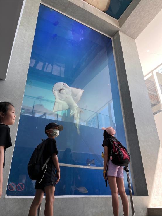 LINE ALBUM 20240717 基隆海科館 240719 49