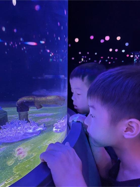 LINE ALBUM 20240717 基隆海科館 240719 66