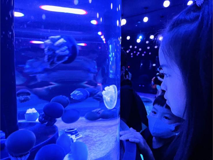 LINE ALBUM 20240717 基隆海科館 240719 67