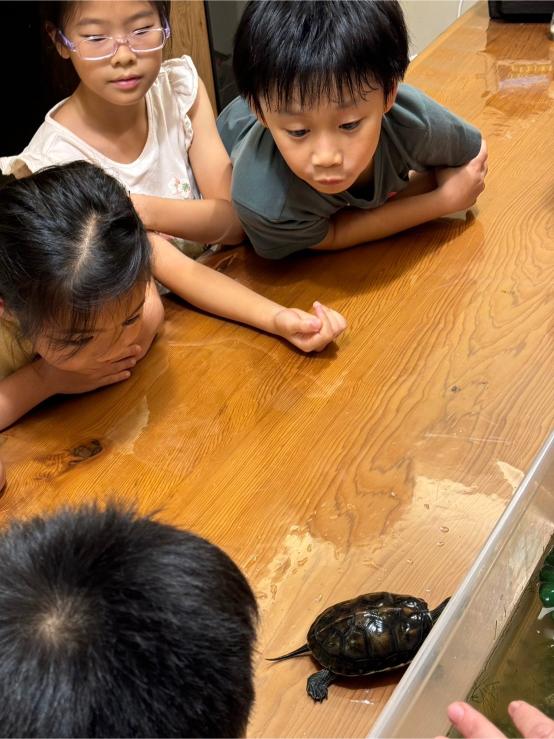 0715-0719Class Earth 第三週照片集錦