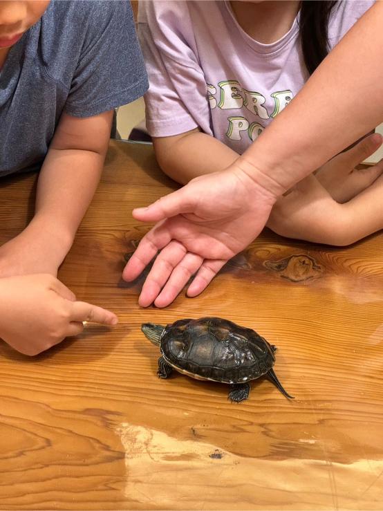 0715-0719Class Earth 第三週照片集錦