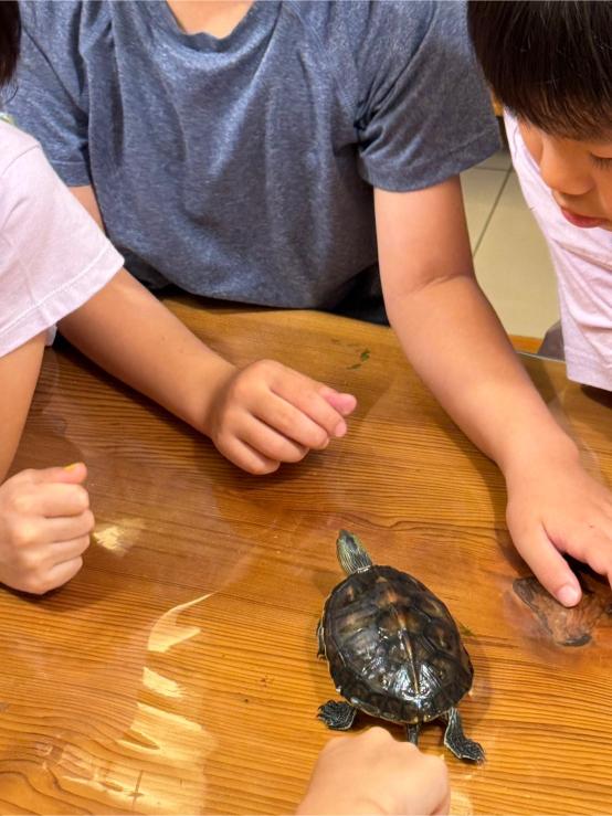 0715-0719Class Earth 第三週照片集錦