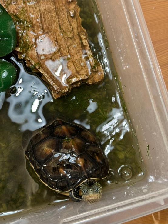 0715-0719Class Earth 第三週照片集錦