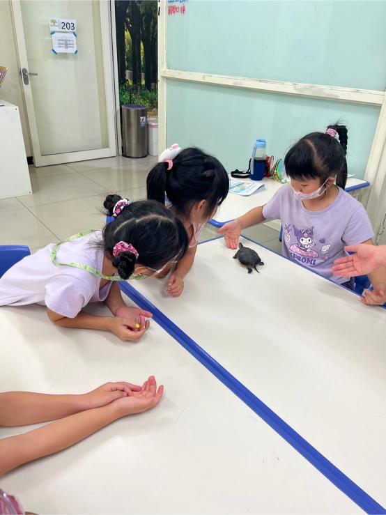 0715-0719Class Earth 第三週照片集錦