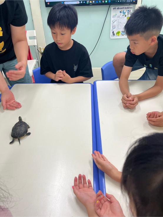 0715-0719Class Earth 第三週照片集錦