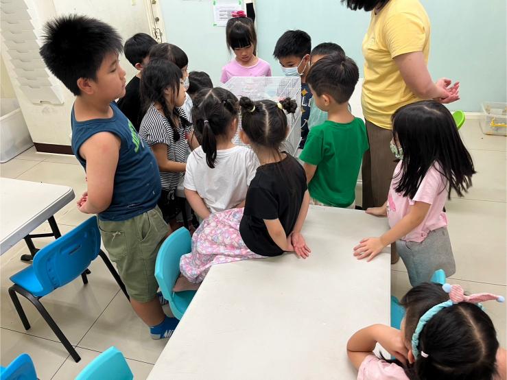 LINE ALBUM 0802 Mercury+Venus Science 240807 22