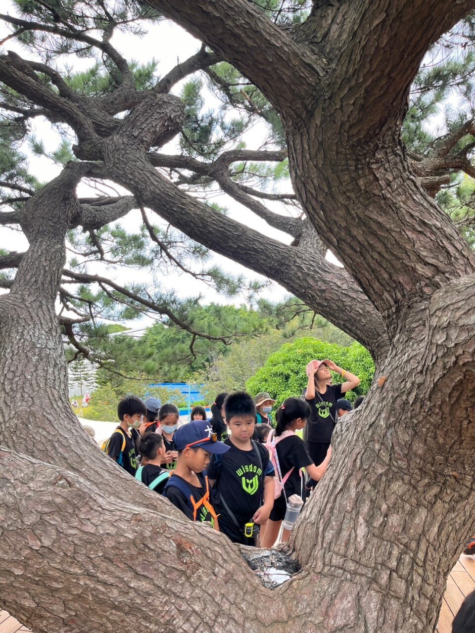 0731Summer camp 小叮噹科學園區