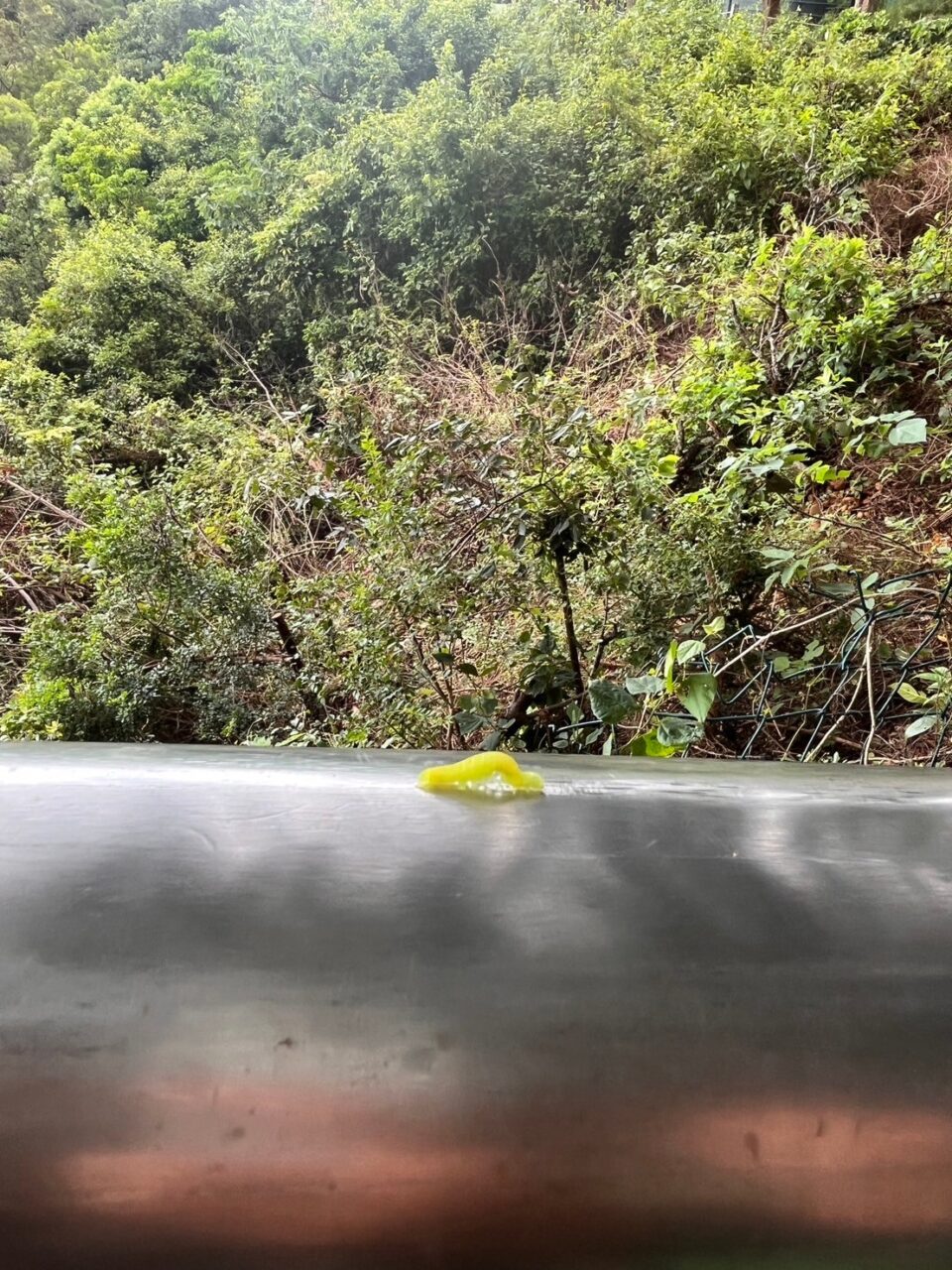 0731Summer camp 小叮噹科學園區