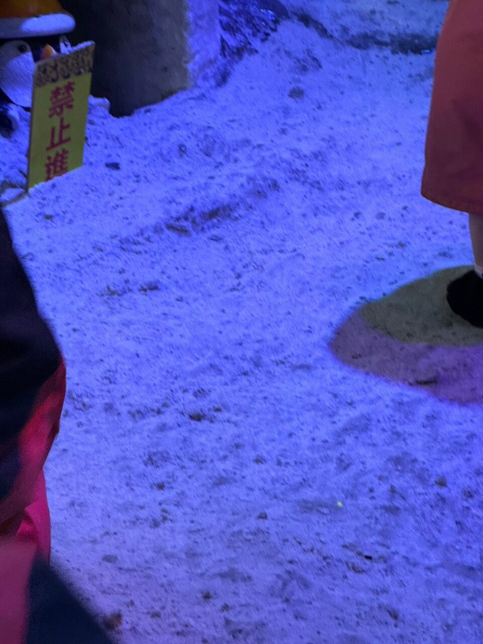 0731Summer camp 小叮噹科學園區