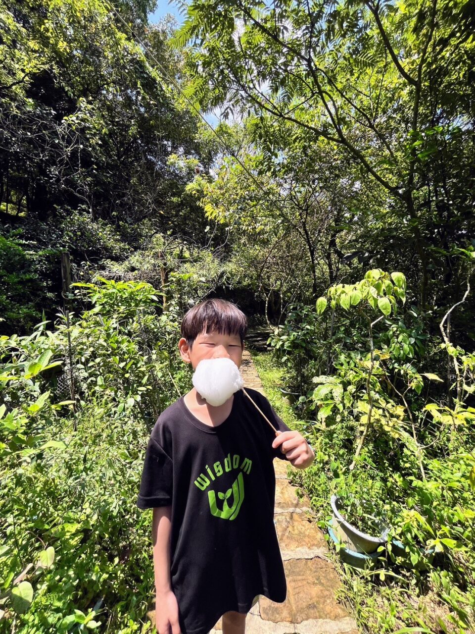 0812千蝶谷