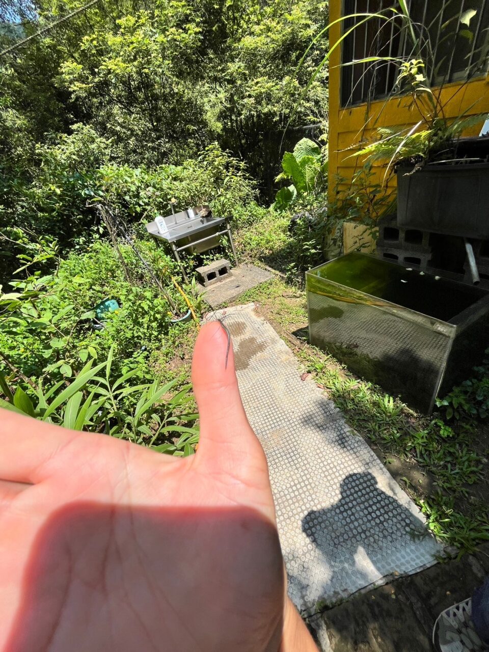 0812千蝶谷