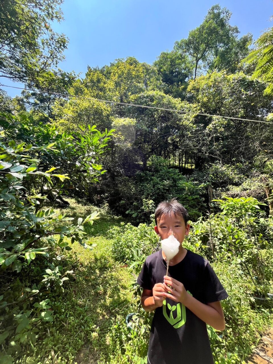 0812千蝶谷