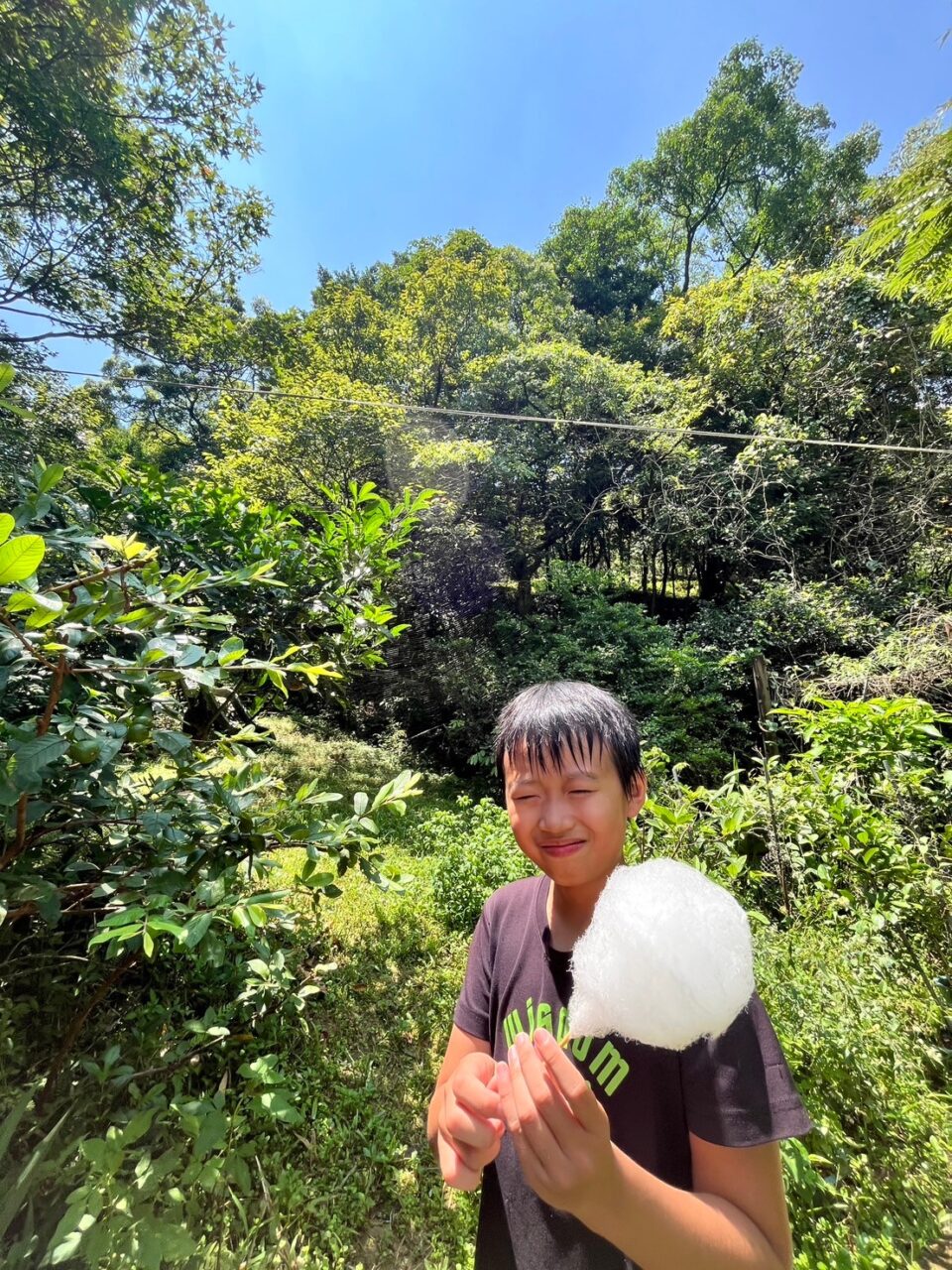 0812千蝶谷