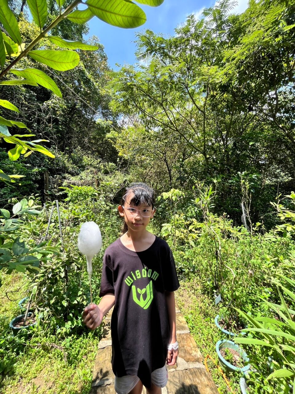 0812千蝶谷